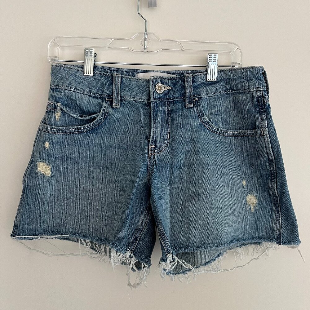 Hollister Co. Women's Blue Shorts
